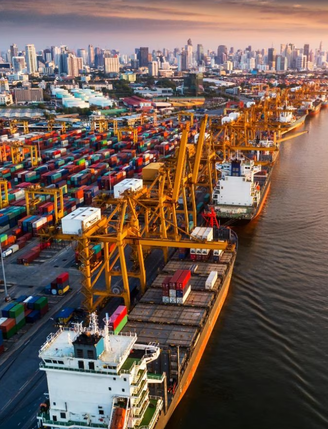 Logizo Shipping Logistics Company UAE